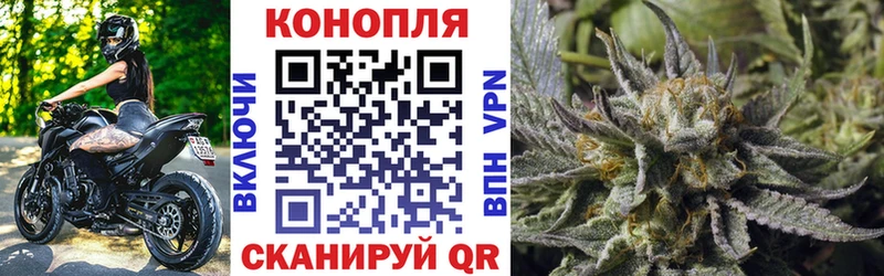 Где купить наркотики Сенгилей Alpha-PVP  Конопля  COCAIN  Меф  ГАШИШ 