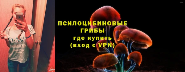 прущие крисы Заводоуковск