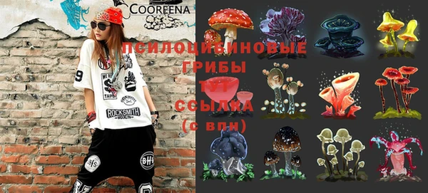 гашик Тутаев