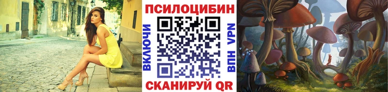 купить   Сенгилей  Галлюциногенные грибы Psilocybine cubensis 